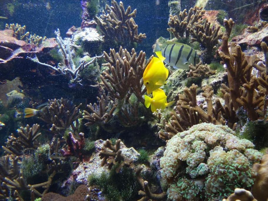 Inselidylle Villa Kunterbunt Fehmarn Zewnętrze zdjęcie